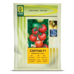 بذر گوجه گلخانه ای کاپیتان F1