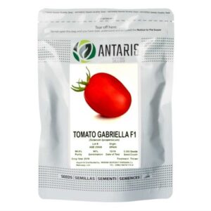 بذر گوجه فرنگی گابریلا F1