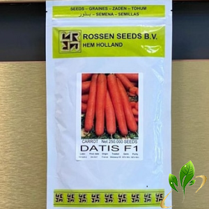 بذر هویج هیبرید خارجی داتیس محصولی از شرکت روزنسید هلند