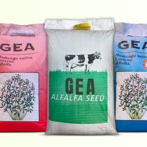 بذر یونجه ایتالیایی gea دارای بالاترین راندمان تولید یونجه در کشور و دارای عنوان برترین بذر یونجه خارجی