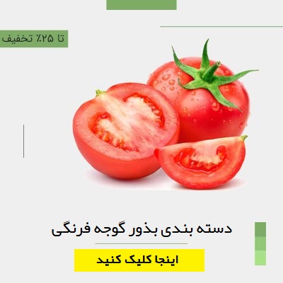 بذور گوجه فرنگی