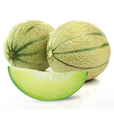 بذر طالبی سمسوری هد