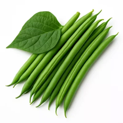 بذر لوبیا سبز سانری هایتک