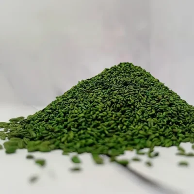 بذر جعفری مایا