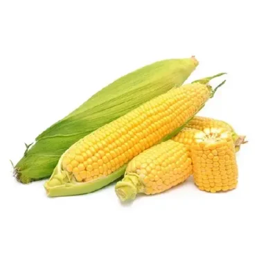 بذر ذرت سوپر شیرین اینویکتوس| شاپ ثمر