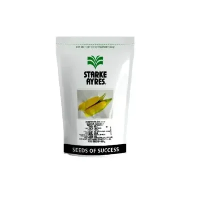 بذر ذرت سوپر شیرین اینویکتوس| شاپ ثمر