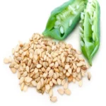 بذر کنجد ناشکوفا