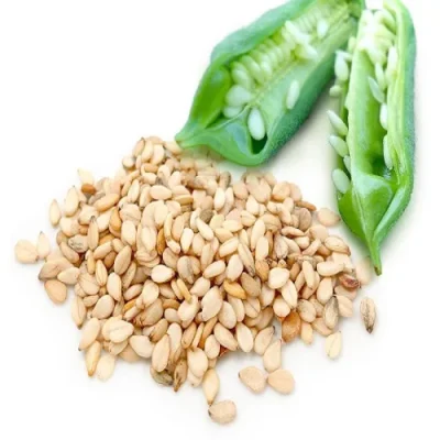 بذر کنجد ناشکوفا