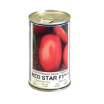 بذر گوجه رد استار