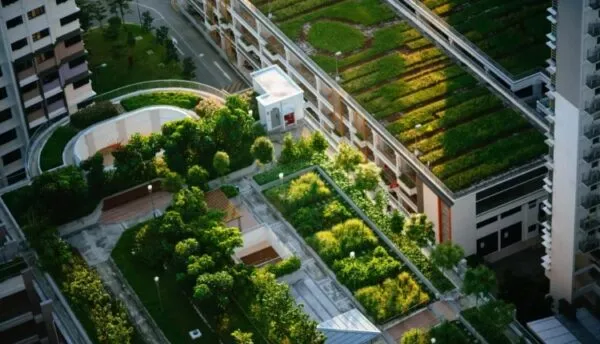 فضای سبز شهری