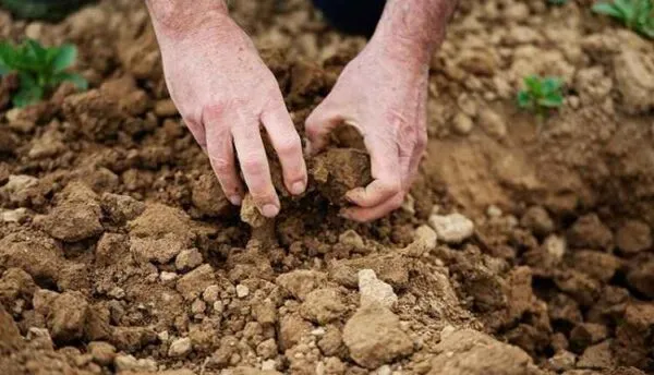 ظرفیت زراعی خاک چیست؟