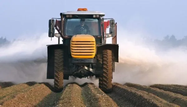 مزایای استفاده از گچ کشاورزی