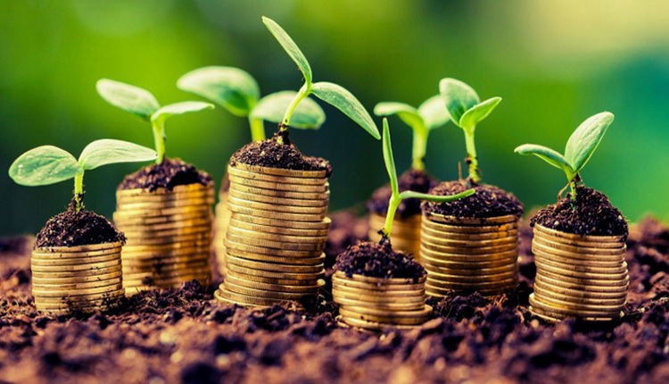 تأثیرات و نقش کشاورزی در اقتصاد کشور