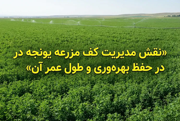 مدیریت کف مزرعه یونجه