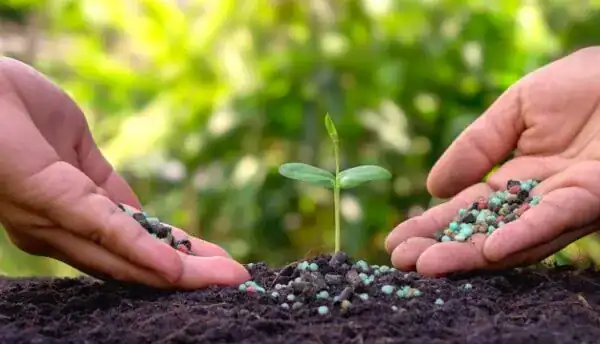 کودهای شیمیایی دیر جذب