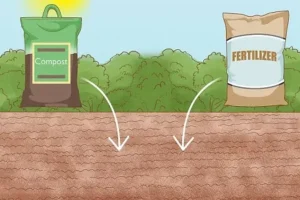 افزودن کودها و مواد مغذی مورد نیاز چمن به بستر کشت بذر چمن 