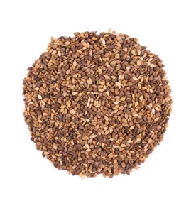 بذر کنجد محلی 