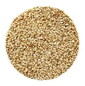 بذر کنجد ناشکوفا 