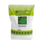 بذر لوبیا سبز سانری روزن سید هلند