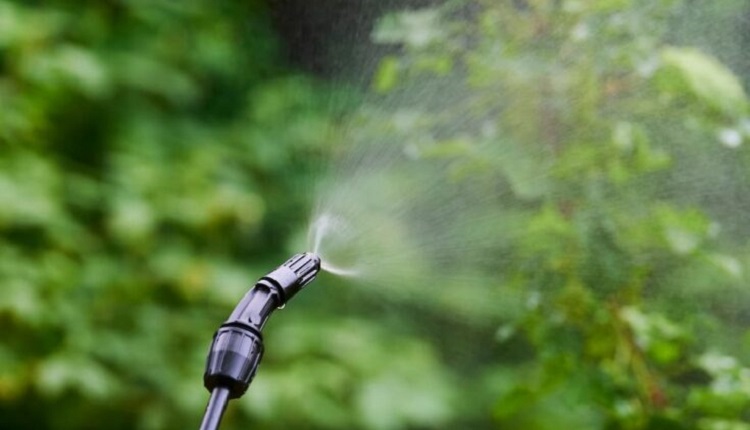 بهترین زمان برای محلول‌پاشی درختان