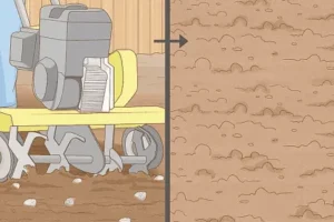 حذف سنگها و عوامل مزاحم در کشت بذر چمن