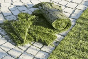 حذف چمن های قدیمی و فرسوده از بستر کاشت بذر چمن جدید 