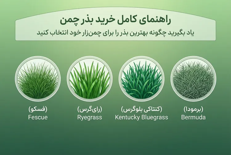 راهنمای خرید بذر چمن