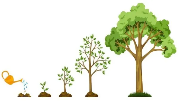 عوامل بازدارنده و محرک رشد درختان