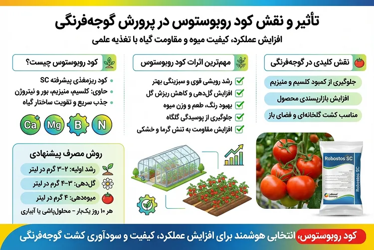نقش کود روبوستوس در پرورش گوجه‌فرنگی