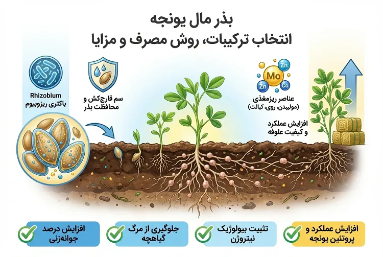 بذر مال یونجه