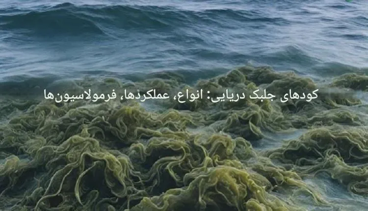ترکیبات اصلی و ارزشمند در کود جلبک دریایی