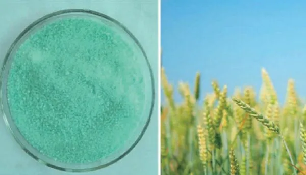 کاربرد سولفات آهن در کشاورزی