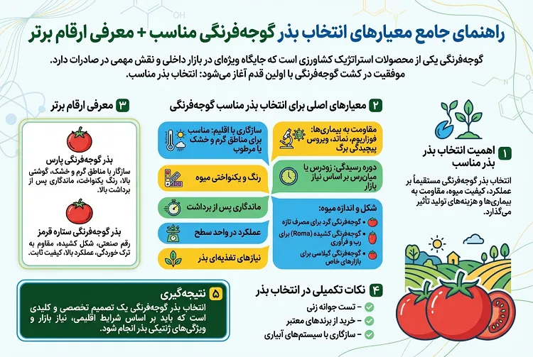 راهنمای جامع معیارهای انتخاب بذر گوجه مناسب + معرفی ارقام برتر