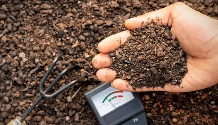 تأثیر شگفت‌انگیز کود آلی بیوفیلد ارگان در کاهش pH خاک و بهبود حاصلخیزی