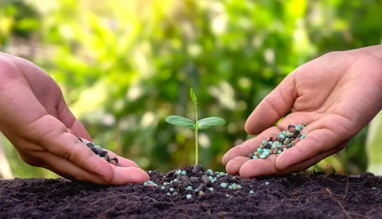 تفاوت کودهای شیمیایی دیر جذب با کودهای معمولی