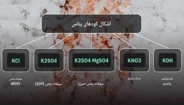 فرمولاسیون کود سولفات پتاسیم