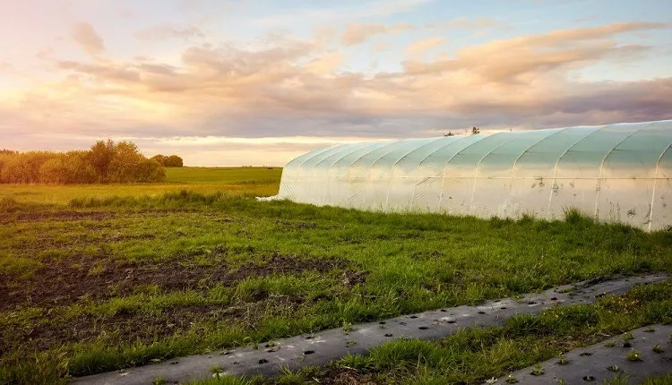 عوامل محیطی در کاشت محصولات گلخانه‌ای