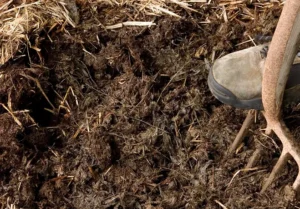 کود مرغی خام کود مرغی خام