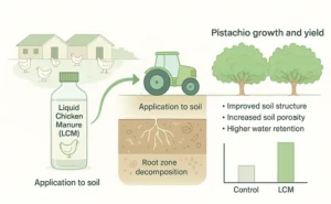 تأثیر کود مایع مرغی در رشد و باردهی پسته 