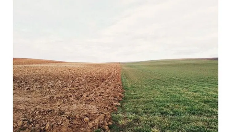 نسبت جذب سدیم خاک