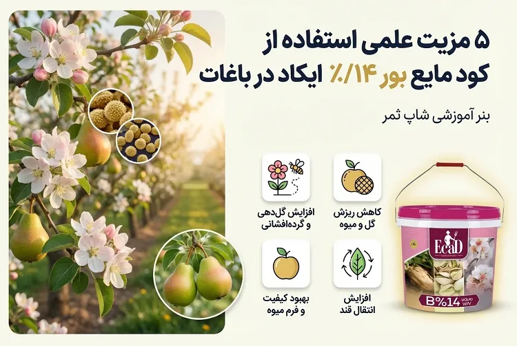 5 مزیت علمی استفاده از کود مایع بور ۱۴٪ ایکاد در باغات