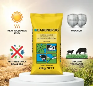 مقاومت بذر یونجه ساردی 10 به بیماریها ، آفات و گرما