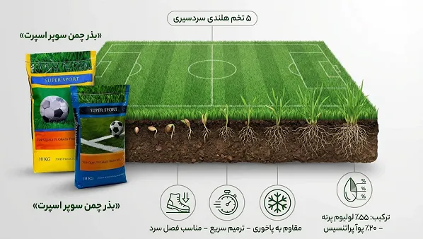 بذر چمن سوپر اسپرت (5 تخم هلندی)