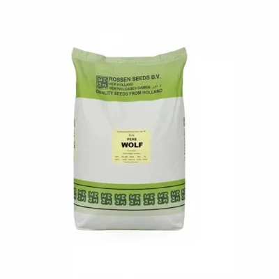 بذر نخود فرنگی ولف روزن سید