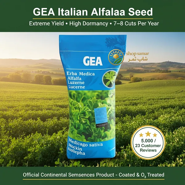 بذر یونجه ایتالیایی جیا