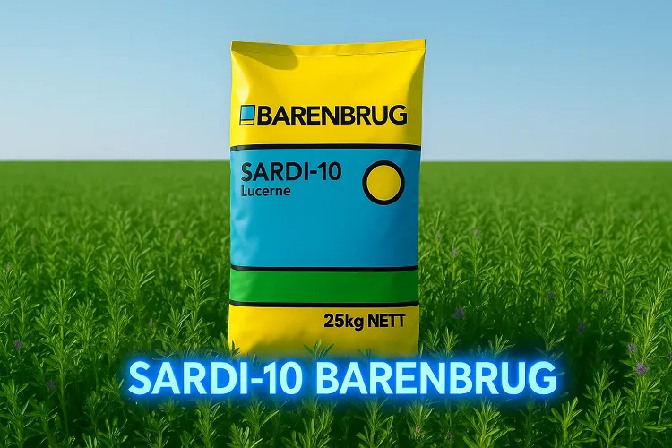 بذر یونجه ساردی 10 بارنبروگ