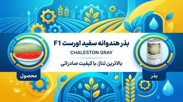 بذر هندوانه اورست