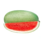 بذر هندوانه اورست