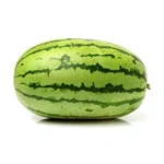 بذر هندوانه سوپر دراگون 2