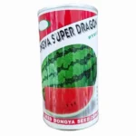 بذر هندوانه سوپر دراگون